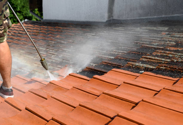 Best Affordable Power Washing  in Wamego, KS