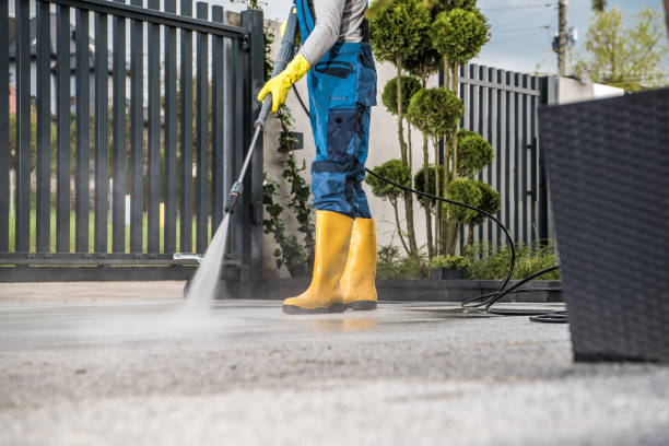 Best Roof Pressure Washing  in Wamego, KS